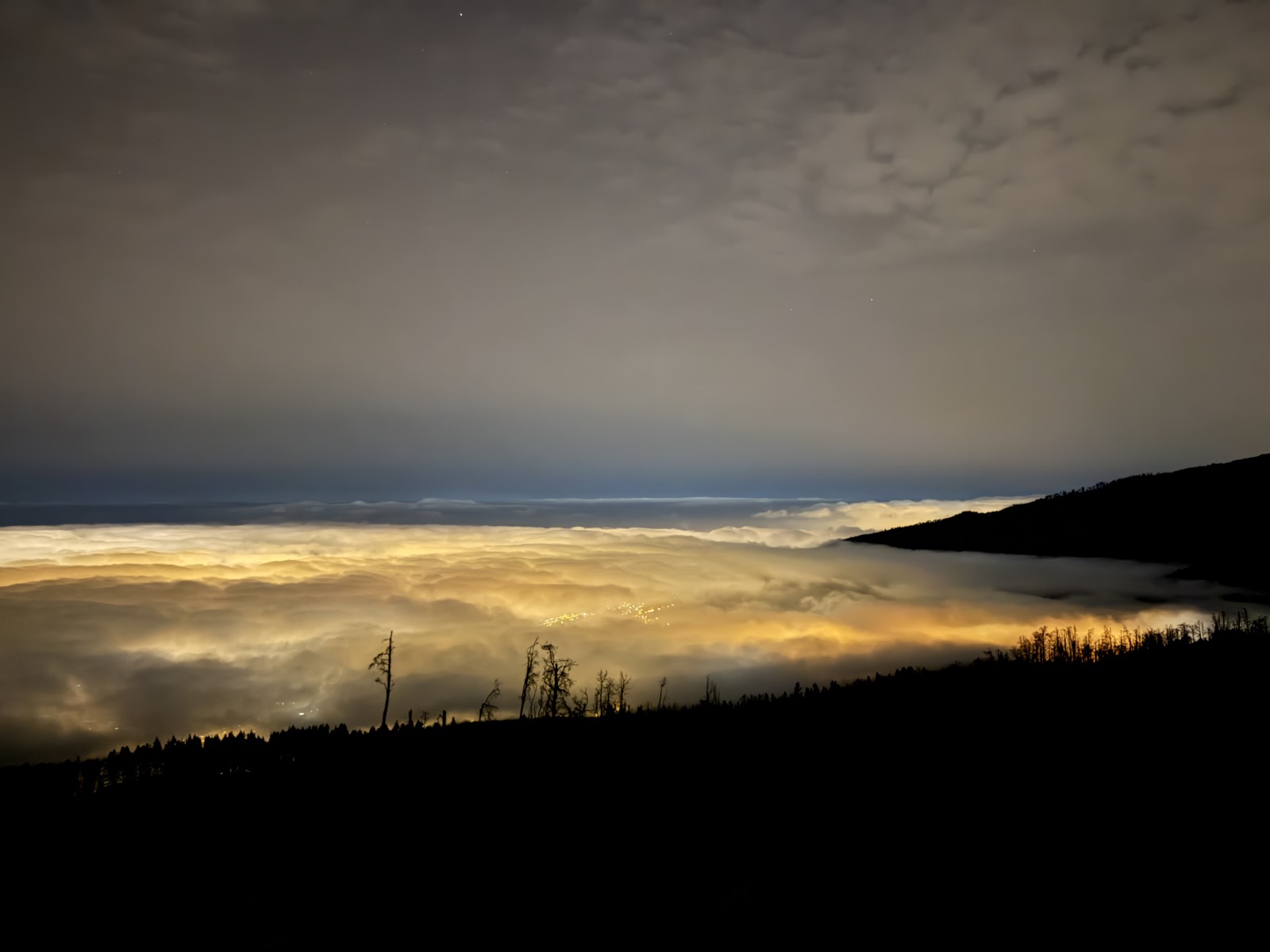 Town lights glowing through the sea of clouds at night, seen from the forest slopes on the way up Teide